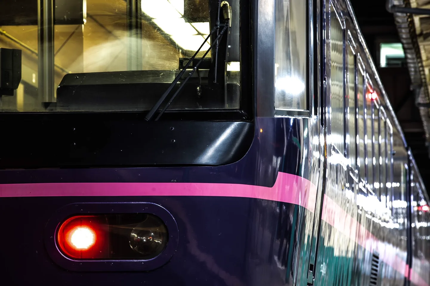 団体専用臨時列車の車両